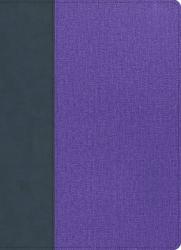  CSB Study Bible, Large Print, Digital Study Edition, Gray/Lavender Leathertouch 