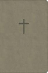  KJV Everyday Study Bible, Earth Suedesoft Leathertouch 