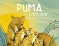  Puma Concolor: In Search of Patagonia's Wild Pumas 