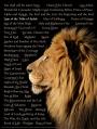  Poster Lion of Judah, Names of Christ Laminated Wall Chart 