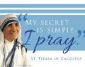  Magent St. Teresa of Calcutta Magnet 50/pkg 