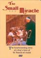  Small Miracle DVD 