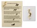  Lapel Pin Footprints (QTY Discount $2.50) LIMITED STOCK 