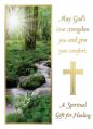  Living Mass Card Spiritual Gift for Healing 50/box 