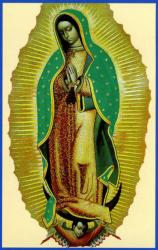  Prayer Card Our Lady of Guadalupe 50/Pkg (LIMITED STOCK) 