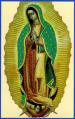  Prayer Card Our Lady of Guadalupe 50/Pkg 