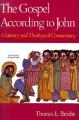 The Gospel According to John: A Literary and Theological Commentary 