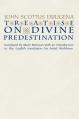  Treatise on Divine Predestination 