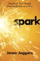  Spark: Transform Your World, One Small Risk at a Time 