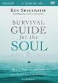  Survival Guide for the Soul Video Study: How to Flourish Spiritually in a World That Pressures Us to Achieve 