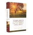  Amplified Bible-Am-Large Print: Captures the Full Meaning Behind the Original Greek and Hebrew 