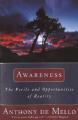  Awareness: Conversations with the Masters 