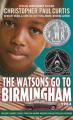  The Watsons Go to Birmingham - 1963 