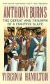  Anthony Burns: The Defeat and Triumph of a Fugitive Slave 