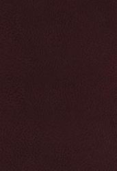  The King James Study Bible, Bonded Leather, Burgundy, Full-Color Edition 