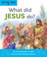  What Did Jesus Do?: An Introduction to the Life and Teachings of Jesus 