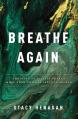  Breathe Again: Choosing to Believe There's More When Life Has Left You Broken 