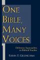  One Bible, Many Voices: Different Approaches to Biblical Studies 