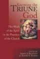  Knowing the Triune God: The Work of the Spirit in the Practices of the Church 
