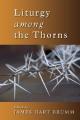  Liturgy Among the Thorns: Essays on Worship in the Reformed Church in America 