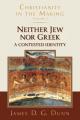  Neither Jew Nor Greek: A Contested Identity (Christianity in the Making, Volume 3) 