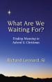  What Are We Waiting For?: Finding Meaning in Advent & Christmas 