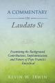  A Commentary on Laudato Si': Examining the Background, Contributions, Implementation, and Future of Pope Francis's Encyclical 