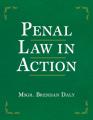  Penal Law in Action 