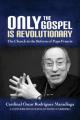  Only the Gospel Is Revolutionary: The Church in the Reform of Pope Francis 