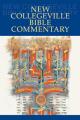 New Collegeville Bible Commentary: One Volume Hardcover Edition 