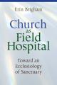 Church as Field Hospital: Toward an Ecclesiology of Sanctuary 
