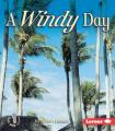  A Windy Day 