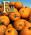  Fall 