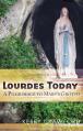  Lourdes Today: A Pilgrimage to Mary's Grotto 