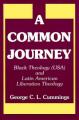  A Common Journey: Black Theology (Usa) and Latin American Liberation Theology 