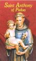 Saint Anthony of Padua: Our Franciscan Friend 