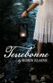 Terrebonne: A grieving woman's broken soul transcends time to find healing in 1856 Louisiana 