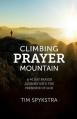  Climbing Prayer Mountain: A 40-Day Prayer Journey into the Presence of God 