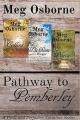  Pathway to Pemberley - A Pride and Prejudice Variation Series 