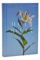  NRSV Catholic Edition Bible, Easter Lily Hardcover (Global Cover Series): Holy Bible 