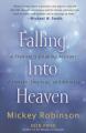  Falling Into Heaven: A Skydiver's Gripping Account of Heaven, Healings and Miracles 