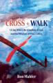  Cross + Walk: Living Where the Kingdom of God and Our Window of Time Collide 