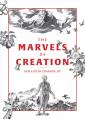  The Marvels of Creation 