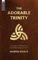  The Adorable Trinity: Standing for Orthodoxy in Nineteenth-Century America 