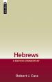  Hebrews: A Mentor Commentary 