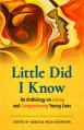  Little Did I Know: An Anthology on Loving and Companioning Young Lives 