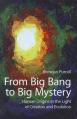  From Big Bang to Big Mystery: Human Origins in the Light of Creation and Evolution 