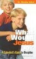  What Would Jesus Do?: A Catechist's Guide to Discipline 
