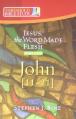  Jesus the Word Made Flesh, Part Two: John 11-21 