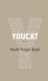  Youcat: Youth Prayer Book 
